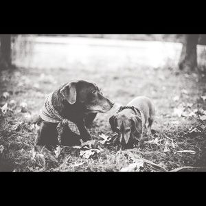 Meet your Posher, Kelsey